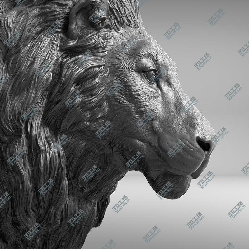 images/goods_img/2021040234/Lion Realistic 3D/1.jpg